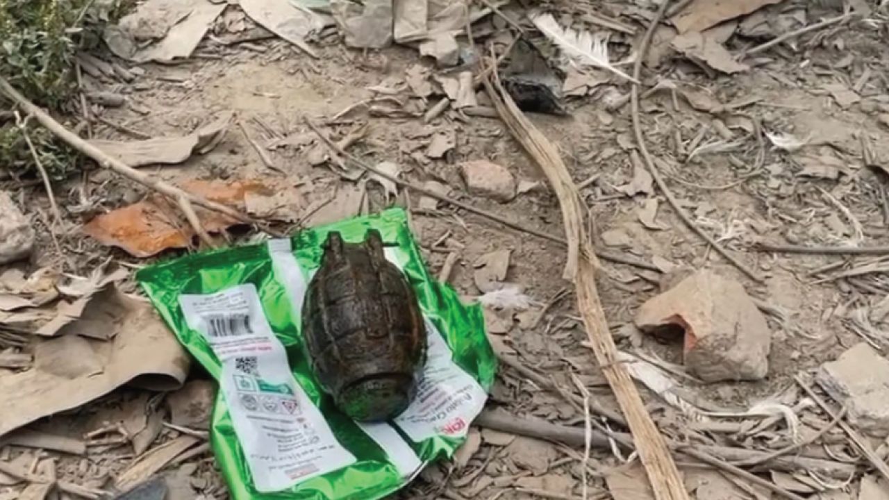 গুপ্তধন ভেবে বাড়িতে নিয়ে এলো গ্রেনেড