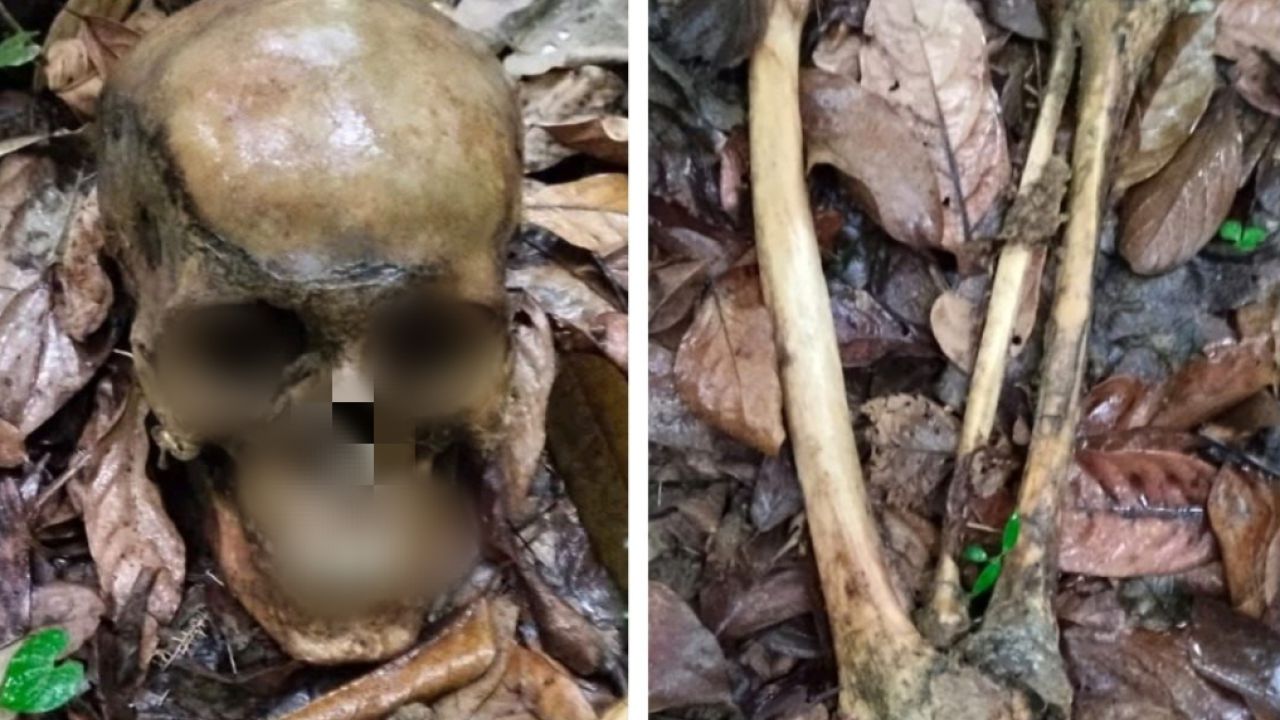 নাইক্ষ্যংছড়িতে অজ্ঞাত ব্যক্তির কঙ্কাল উদ্ধার